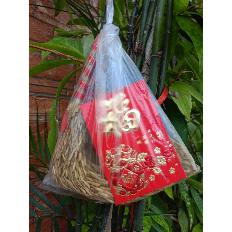 Fengshui Palay Panabit with Red Ampao | Shopee Philippines