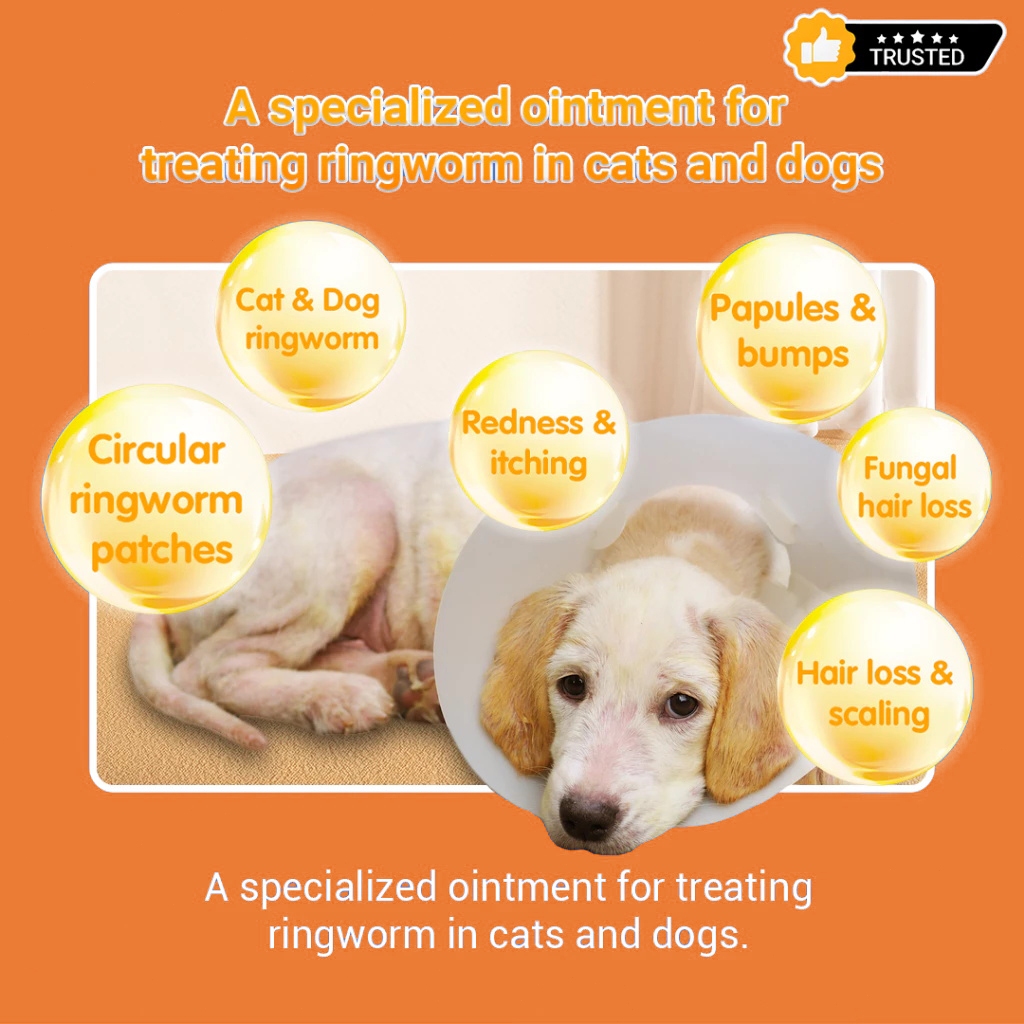 Ointment For Dog Skin Disease Medicine Gamot Sa Galis Ng Aso Healing ...