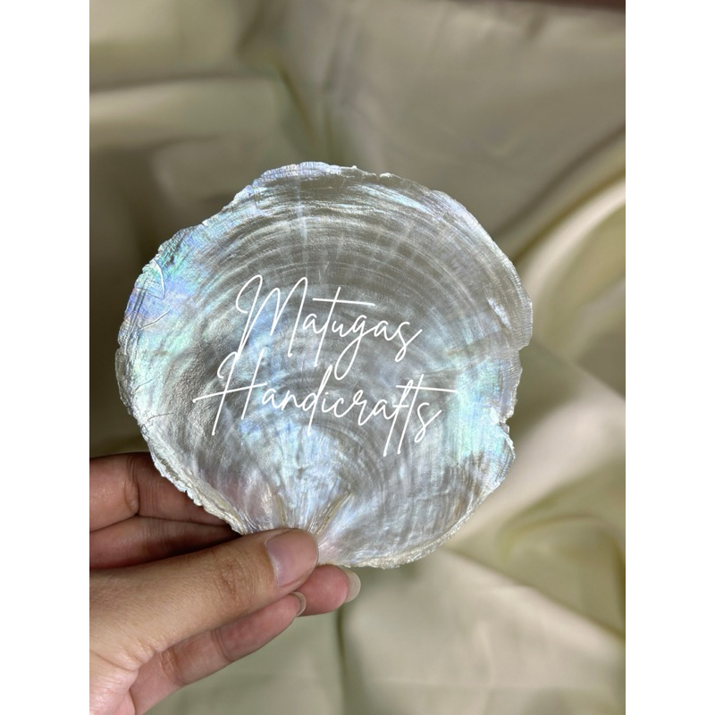 Capiz shell place card - 20PCS Raw capiz only | Shopee Philippines