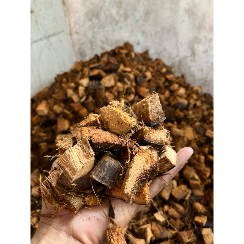Pure Coco Cubes | 2Liter pack | Organic coco cubes | Great for your ...