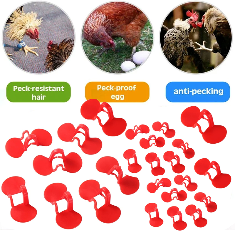 10 Pack Anti Pecking Red Chicken Glasses Poultry Eye Patches Chicken ...