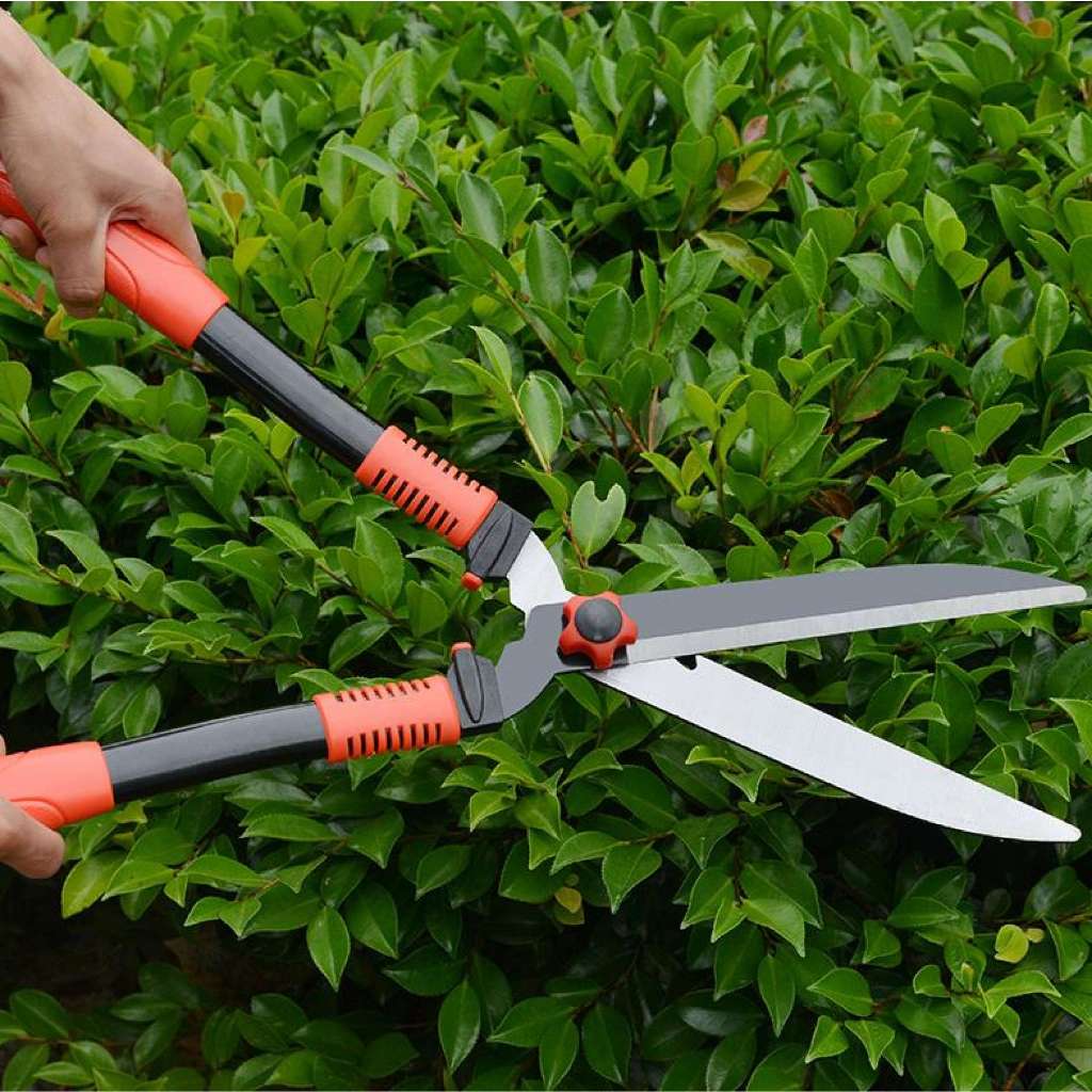 Shop scissors for grass for Sale on Shopee Philippines