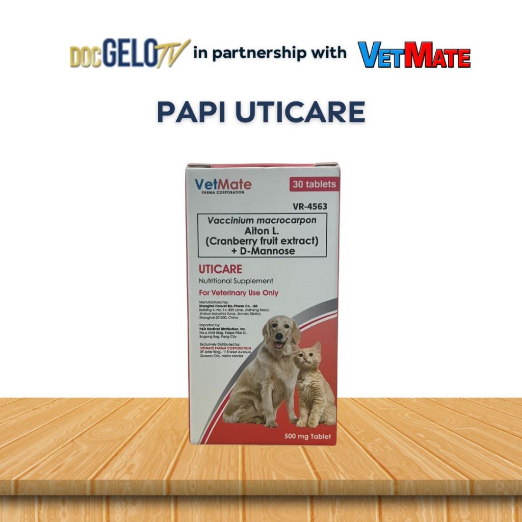 PAPI UTICARE NUTRITIONAL SUPPLEMENT FOR DOGS AND CATS | Shopee Philippines
