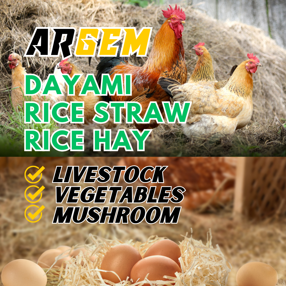 Shop dayami for Sale on Shopee Philippines