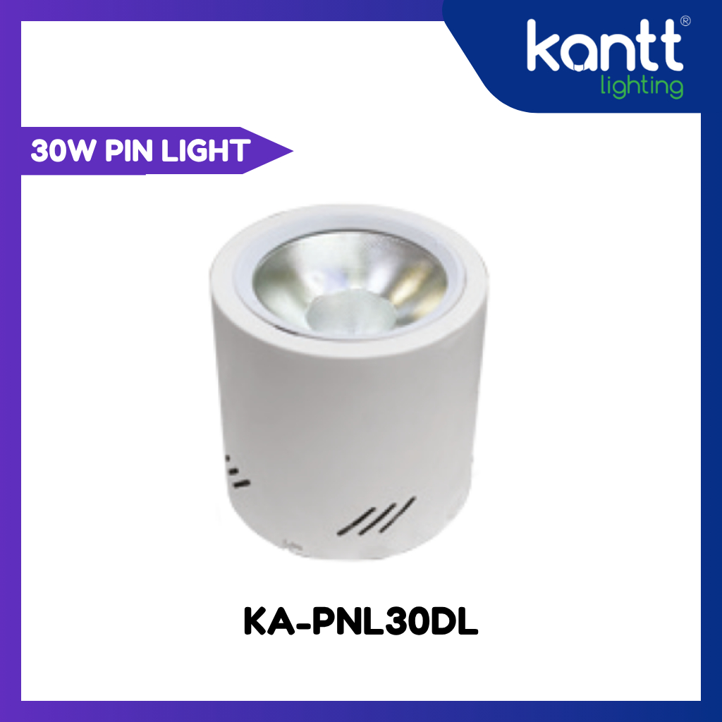 IFIX KANTT WHITE PINLIGHT 30W DAYLIGHT KA-PNL30DL | Shopee Philippines