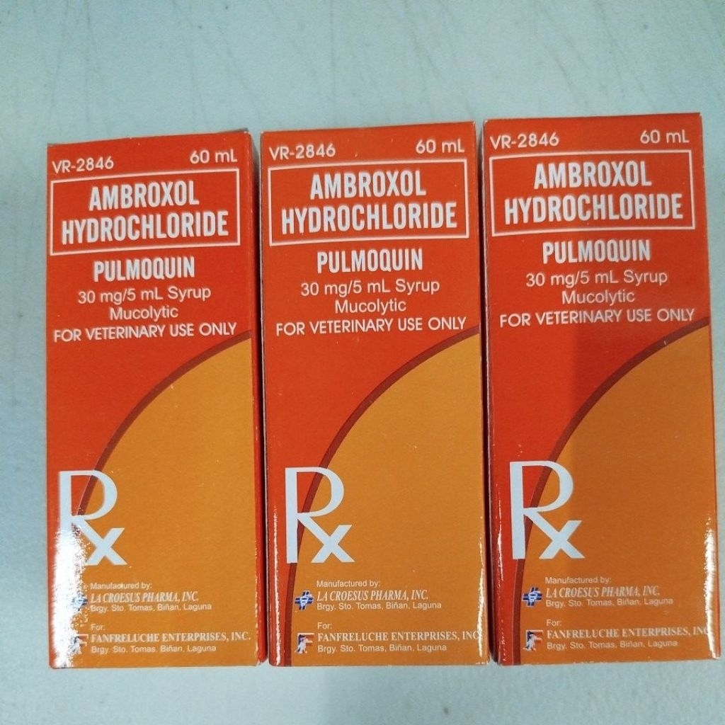 Pulmoquin Syrup 60ml | Shopee Philippines