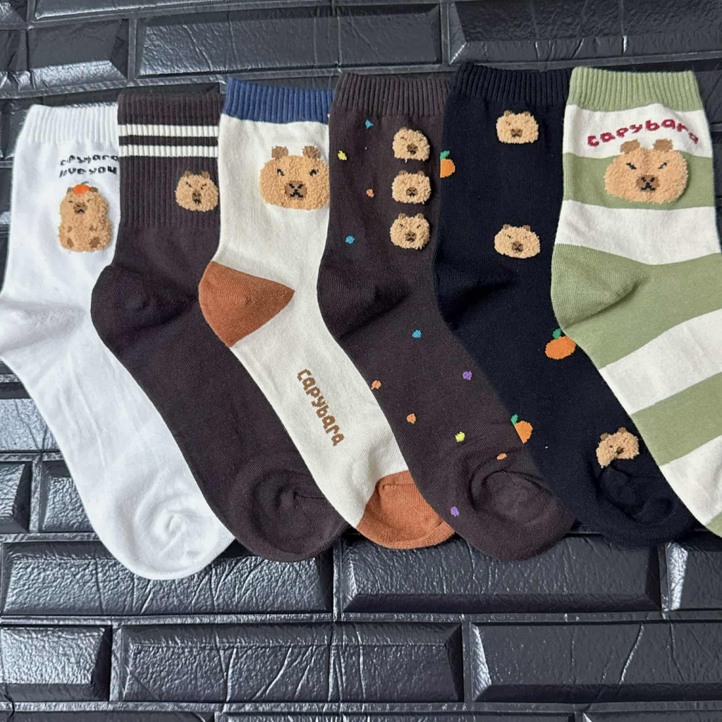 Korean Socks• Capy Bara Iconic Socks | Shopee Philippines