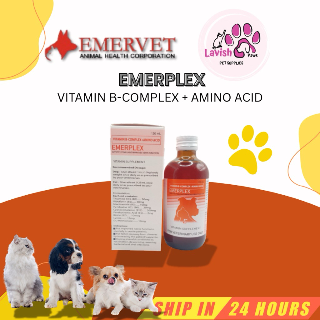 EMERPLEX Vitamin B-Complex + Amino Acid 120ml LVP | Shopee Philippines