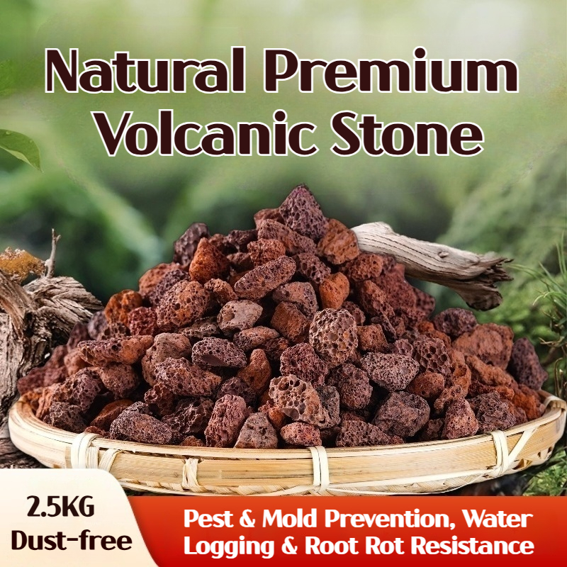 2.5KG Natural Volcanic Rock Lava Rock Granule Pumice Porous Volcanic ...