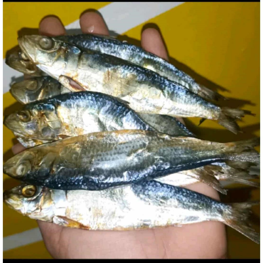 Shop tamban for Sale on Shopee Philippines