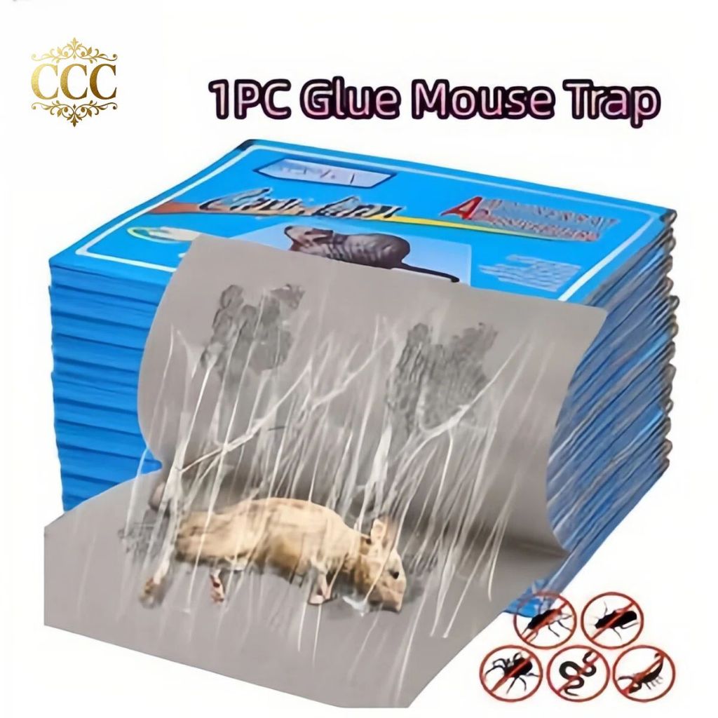CCC Glue Mouse Traps Effective and Easy-to-Use Mice Catcher for Home ...