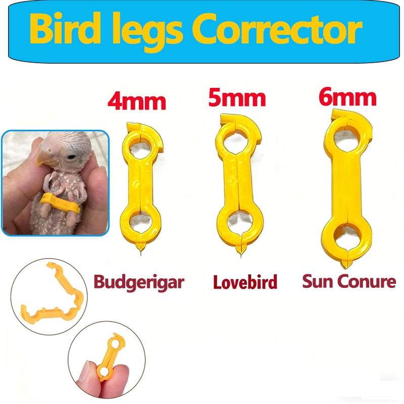 Bird legs Correction Ring Chicken Parrot Young Bird Corrector Leg ...