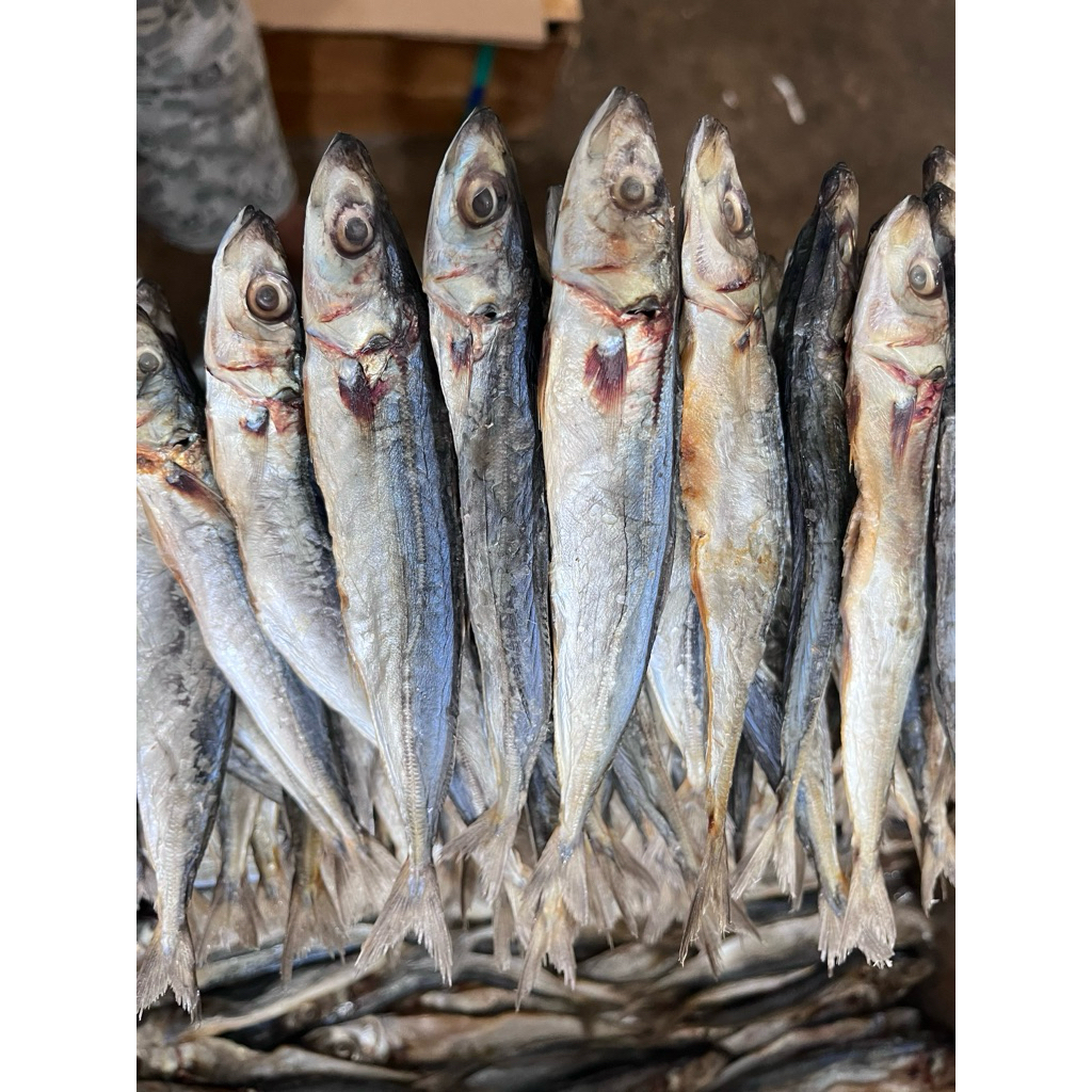 (VACUUMED SEALED) Mindanao Dried Fish (DS) name GALUNGGONG - Premuim ...