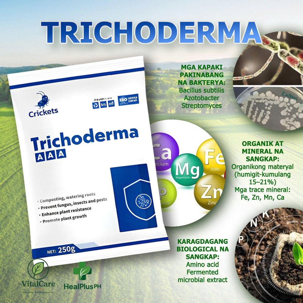 Trichoderma Bio Product Helps Prevent Fungi, Protect Roots and Support ...