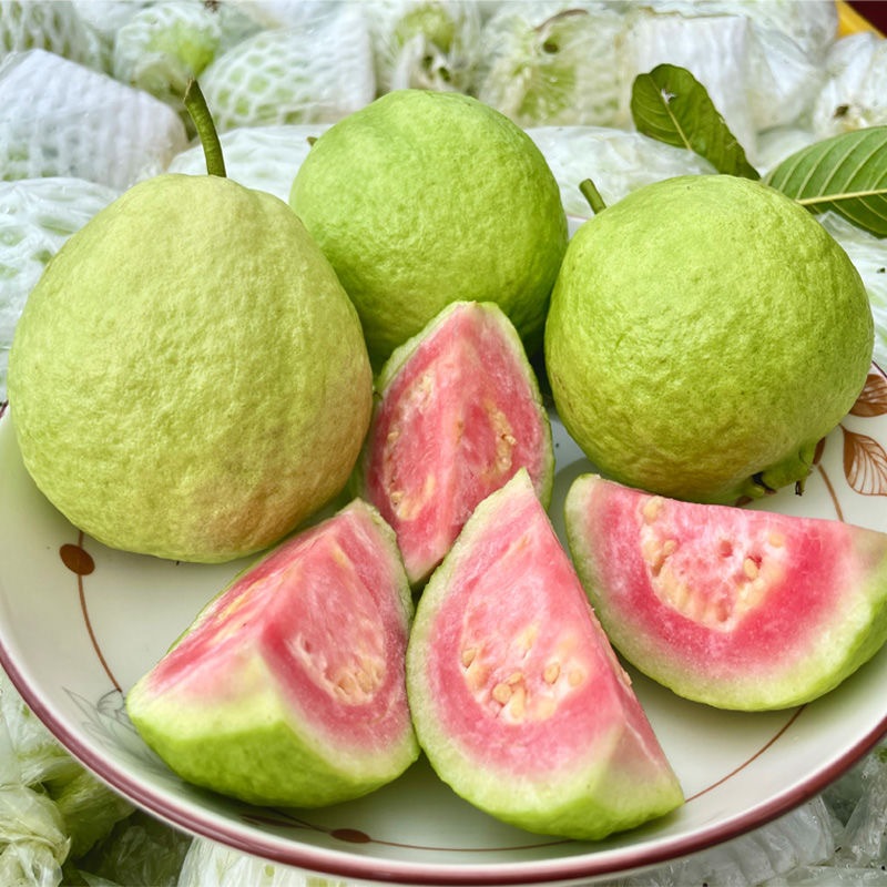 30 seeds Guava Seeds for Planting Bonsai Tree Seeds Dwarf Bearing Trees ...