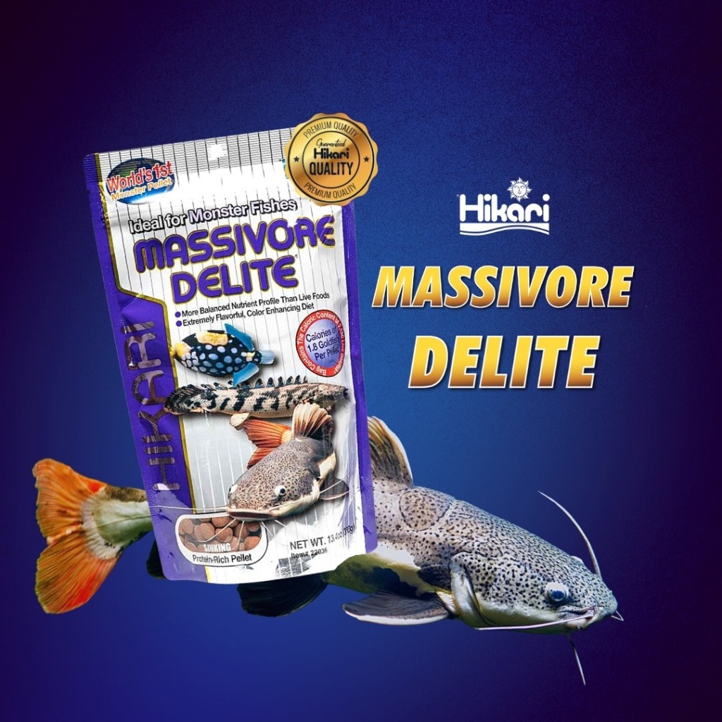 Hikari Massivore Delite 380g (Ideal for monster fish, Arowana, Chana ...