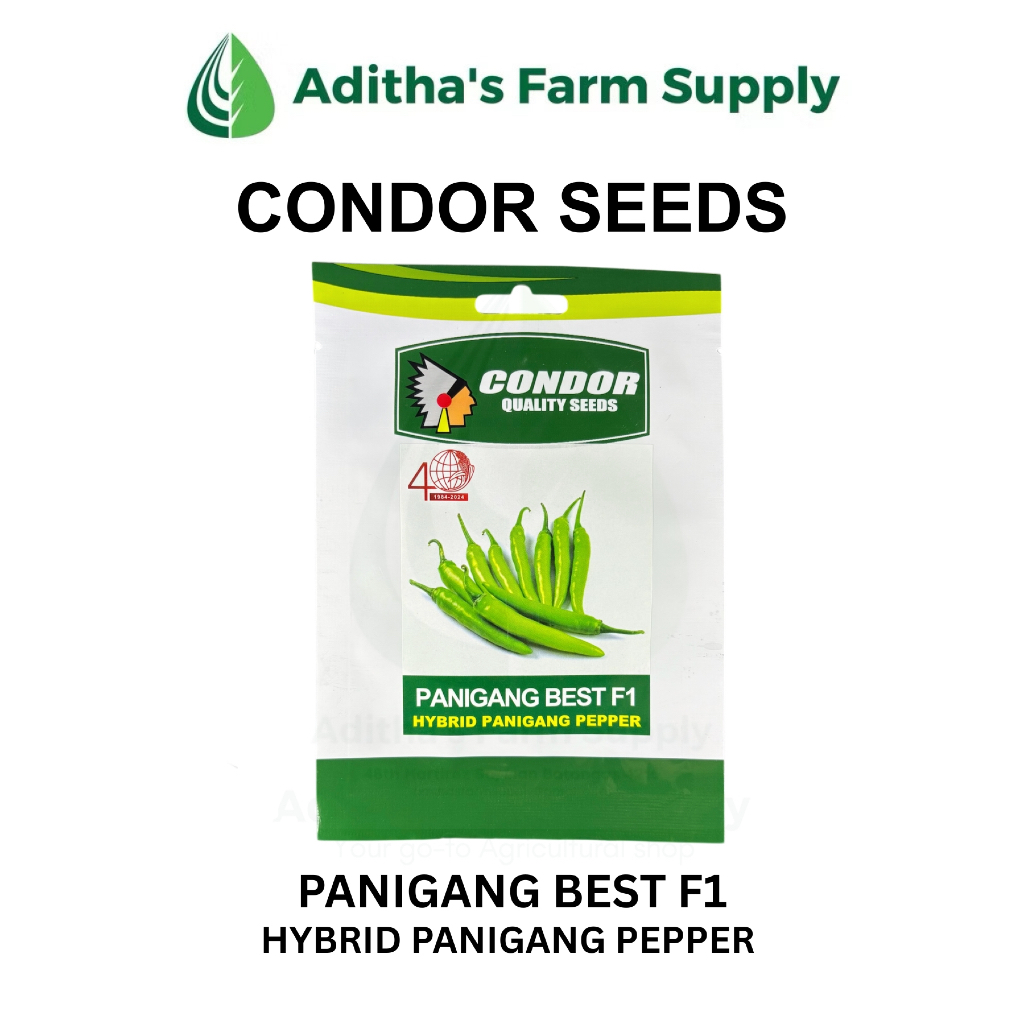 Condor Seeds - Panigang Best F1 (Hybrid Long Chili/Finger Chili Pepper ...