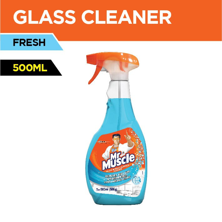 Mr. Muscle Glass & Multi-Surface Cleaner 500ml | Shopee Philippines