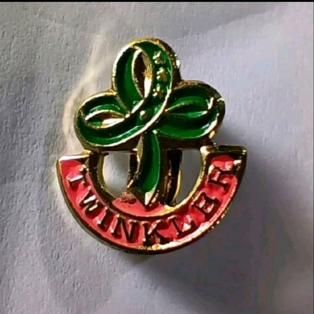 ACCESSORIES FOR GSP TWINKLER PIN, INVESTITURE,STAR PIN, JUNIOR PIN ...