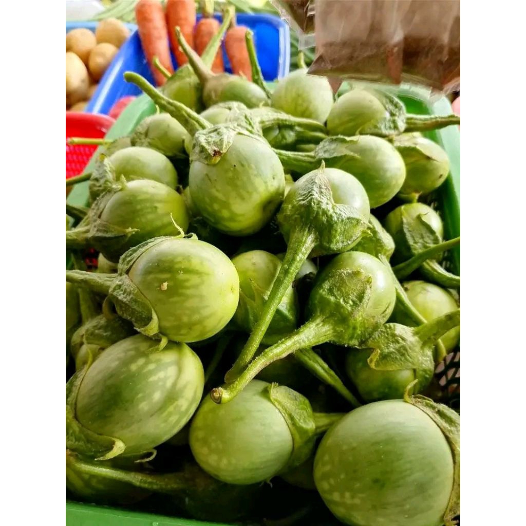 NATIVE TALONG 200 SEEDS PER PACK | Shopee Philippines