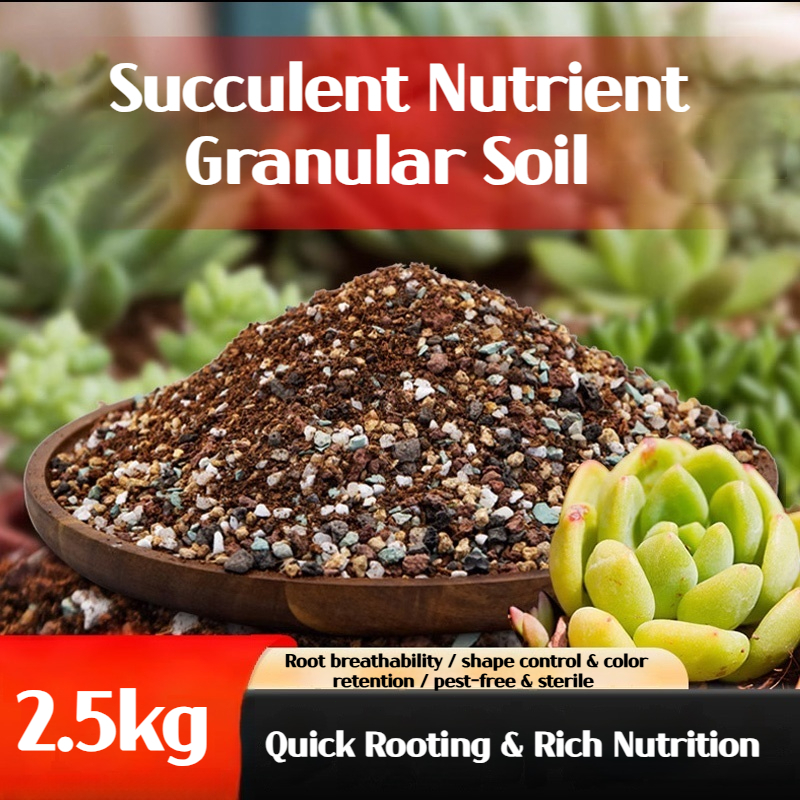 2.5KG Cactus Succulent Soil&Aroid Premium and Organic Soilless Potting ...