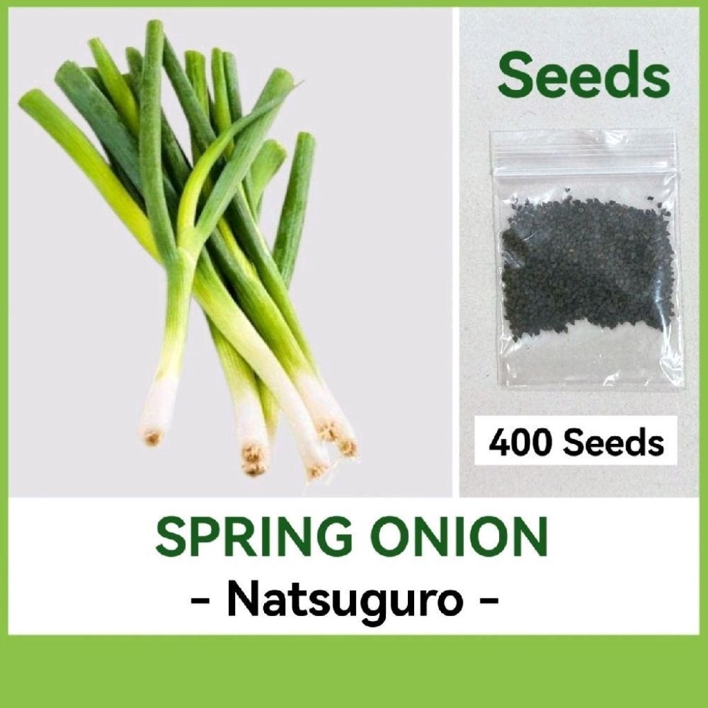 Shop spring onion for Sale on Shopee Philippines