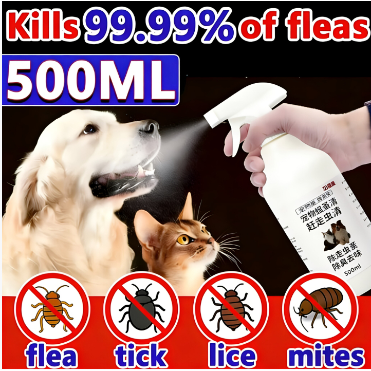 Photo inspiration: Anti Fleas Ticks Spray For Dog Cat Insect Killer Pet Photo Inspiration