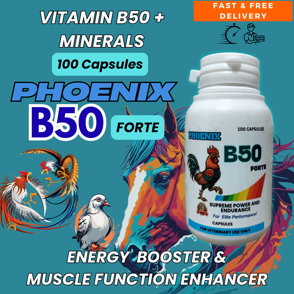 Phoenix B50 Forte – Vitamin B50 + Minerals Capsules (100s) | Shopee ...