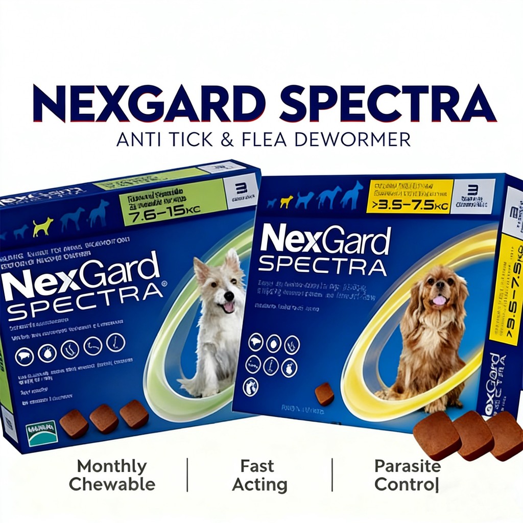Nexgard Spectra for Dog Chewable Tablet Anti Ticks and Fleas for Dogs ...