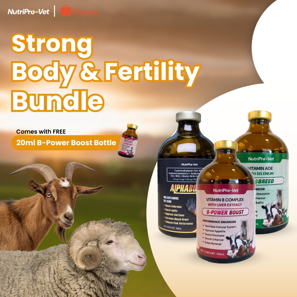 NutriPro Vet | Strong Body and Fertility | Bundle | Goat and Sheep ...