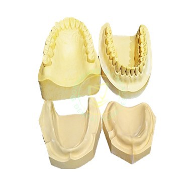 Dental Edentulous and Dentulous Model Cast Upper and Lower Set | Shopee ...