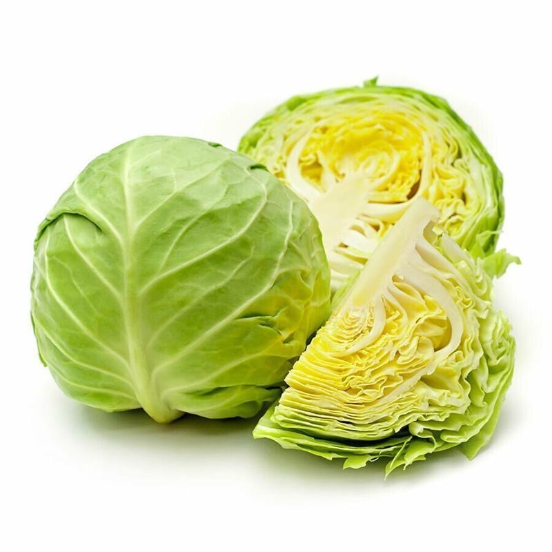 Cabbage Seeds for Planting 200 Seeds F1 Seeds-Buto ng repolyo | Shopee ...