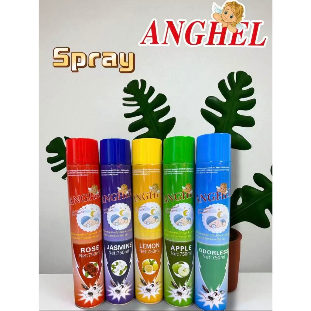 Z&H ANGHEL Insecticide Spray Aerosol Insect Spray Mosquito Killer ...