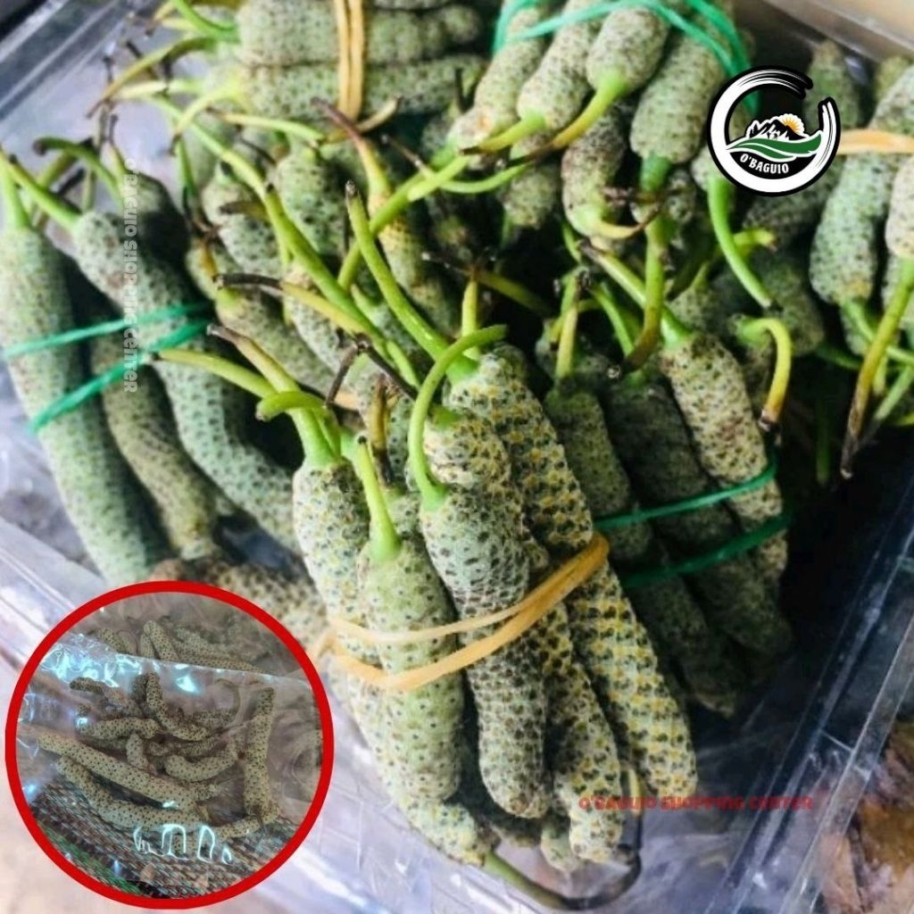 Dried Bunga Ng Gawed - Ikmo | Nganga | O'Baguio (COD) | Shopee Philippines