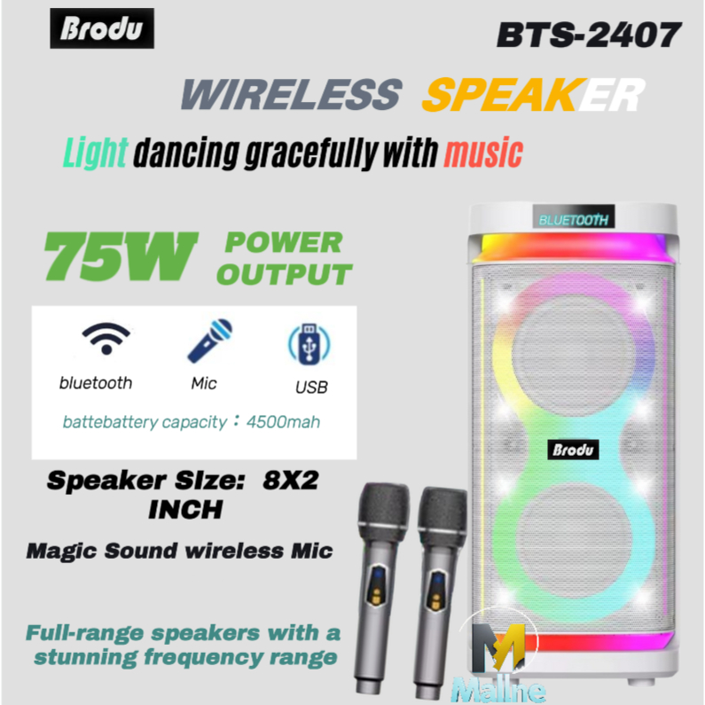 Brudo BTS-2407 IKARAOKE BOX Professional System Bluetooh Speaker With 2 ...