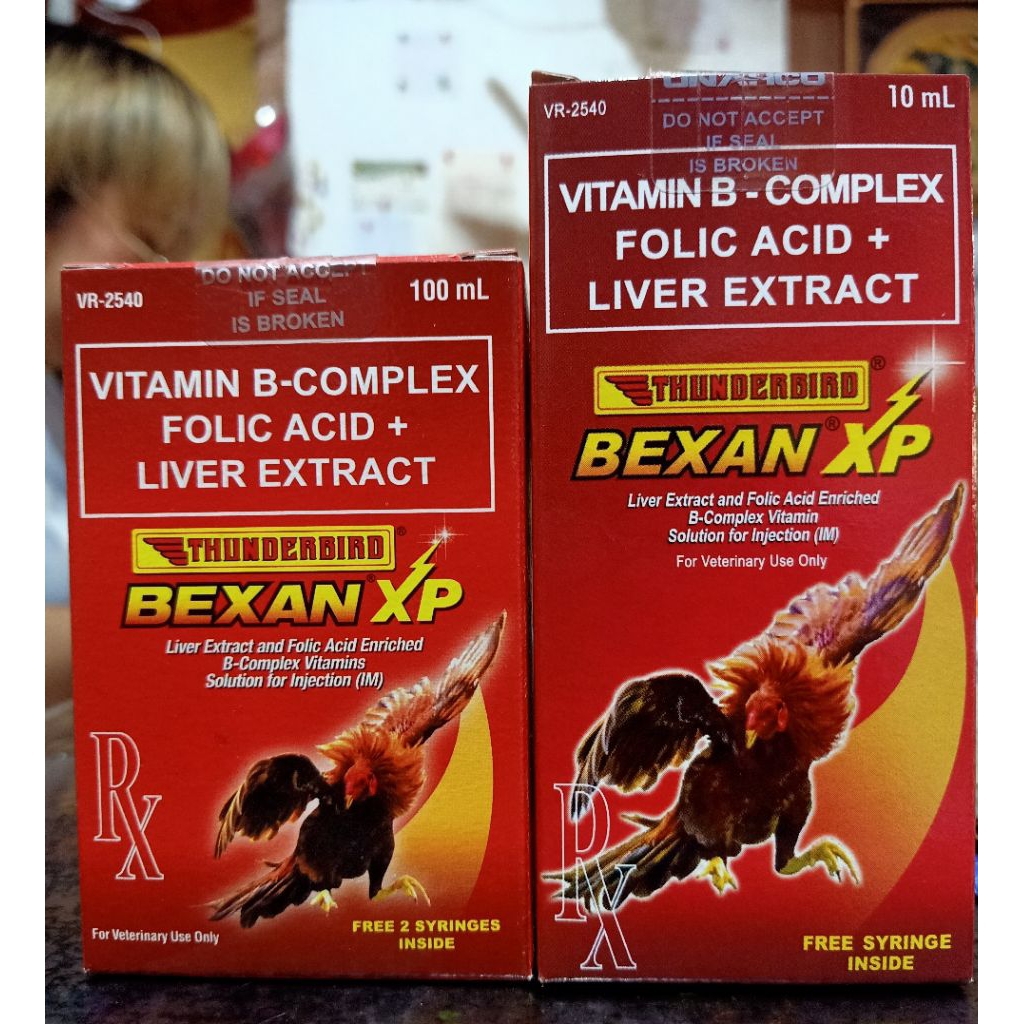Shop bexan xp for Sale on Shopee Philippines