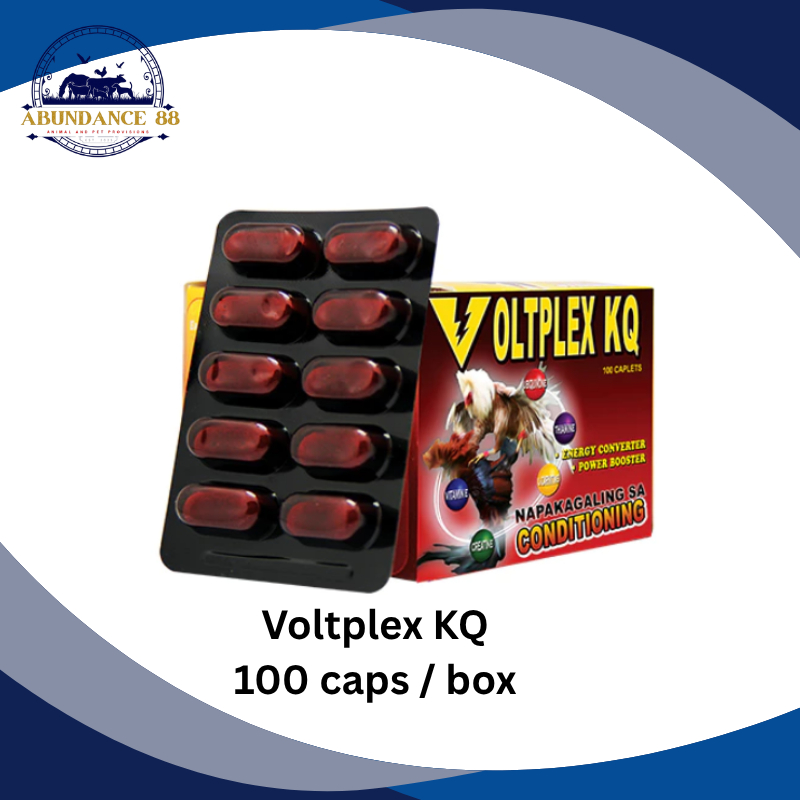 EXCELLENCE VOLTPLEX KQ (100 TABLETS) - 1 BOX | Shopee Philippines