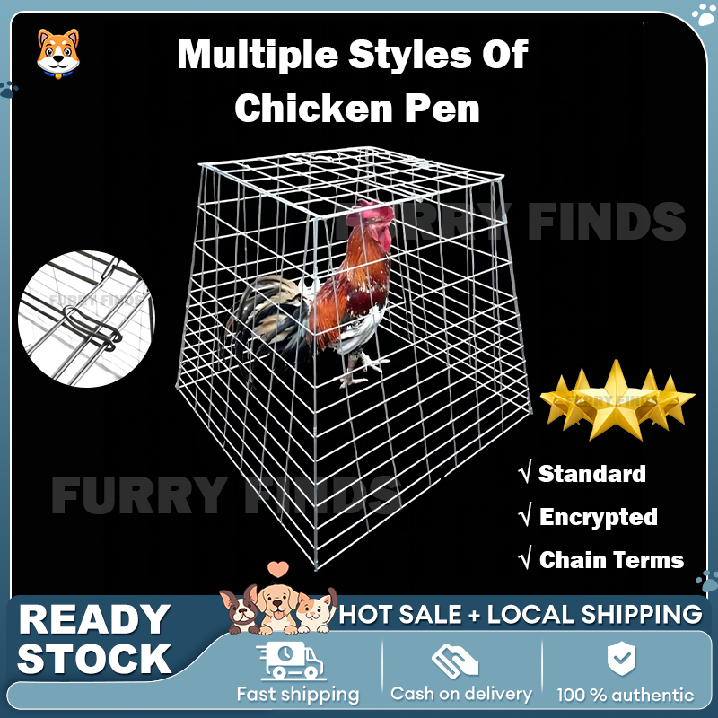 Chicken Scratch Pen Foldable /With Egg Tray/ Reinforced Design Made In ...