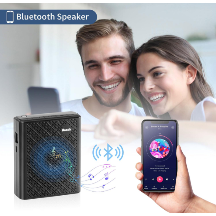 BTS-1383 Professional Wireless Lapel Microphone Rechargeable Noise ...