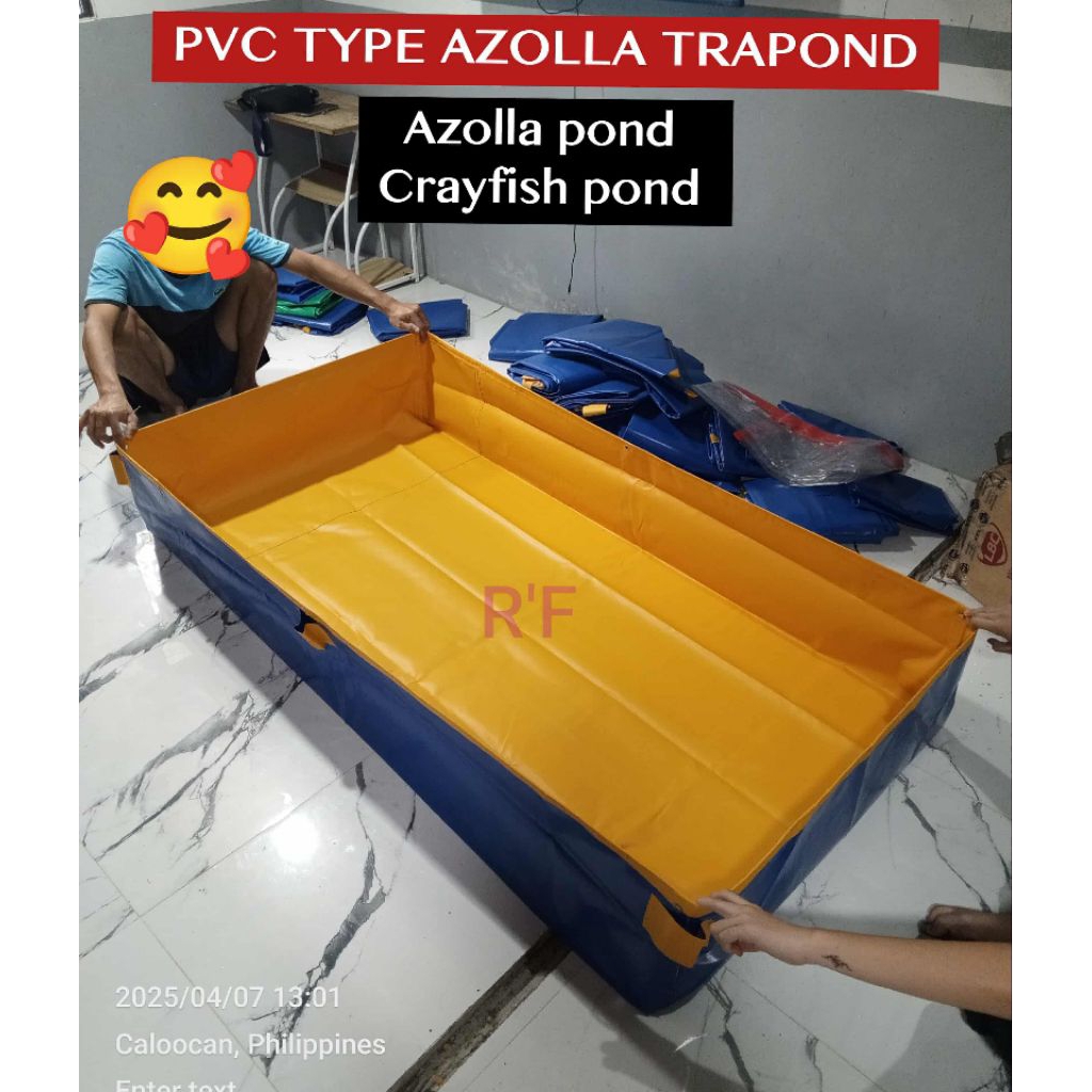 PVC TYPE TRAPOND AZOLLA POND CRAYFISH POND LONA TRAPOND FFORDABLE PRICE ...
