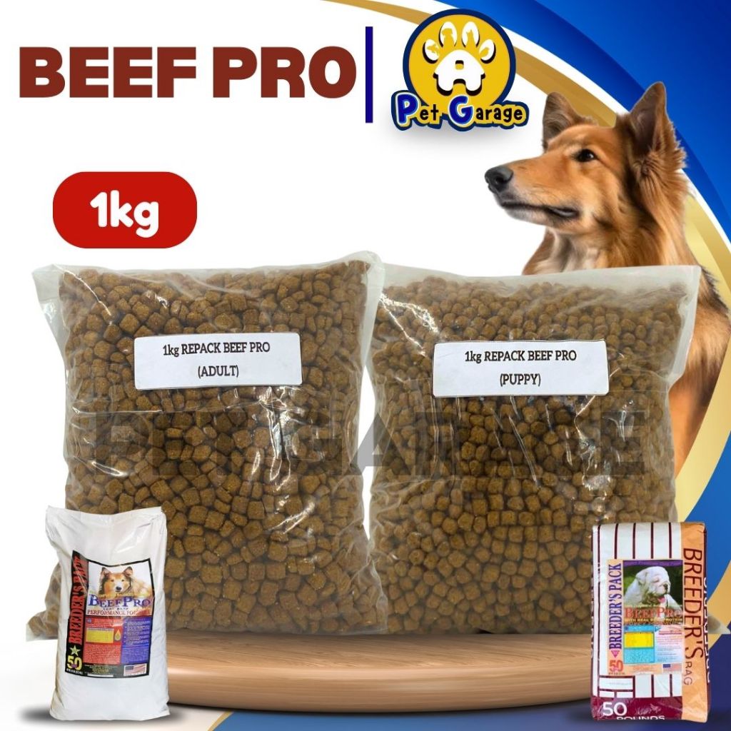 1kg Beef Pro Pack All Stages Adult Puppy Dog Dogs Dry Food Balanced ...