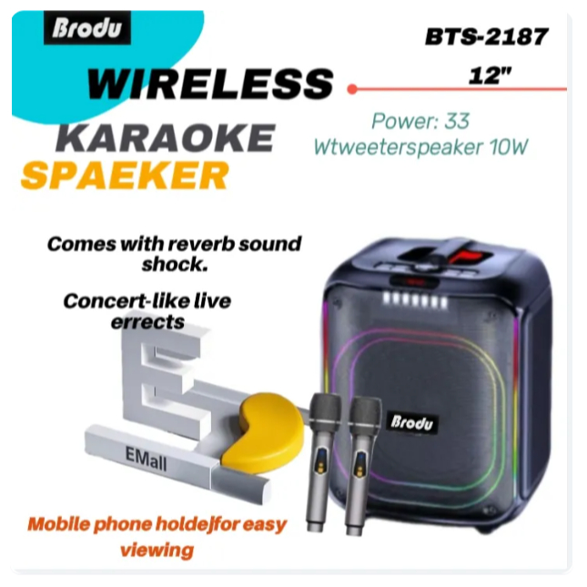 Brodu BTS-2187 High-Quality 12-inch Bluetooth Karaoke Speaker With 2 ...