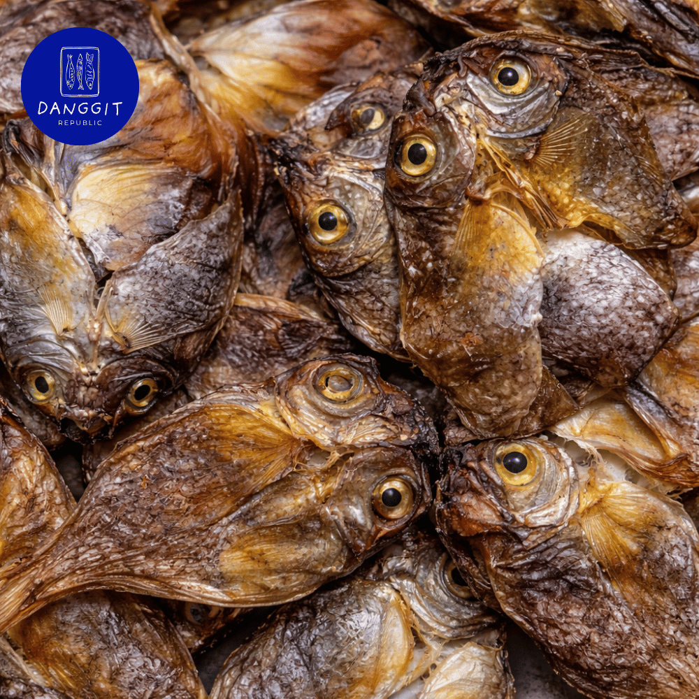 Premium Dried Fish | Danggit, Pusit, Dilis | Bantayan Cebu | 100g ...