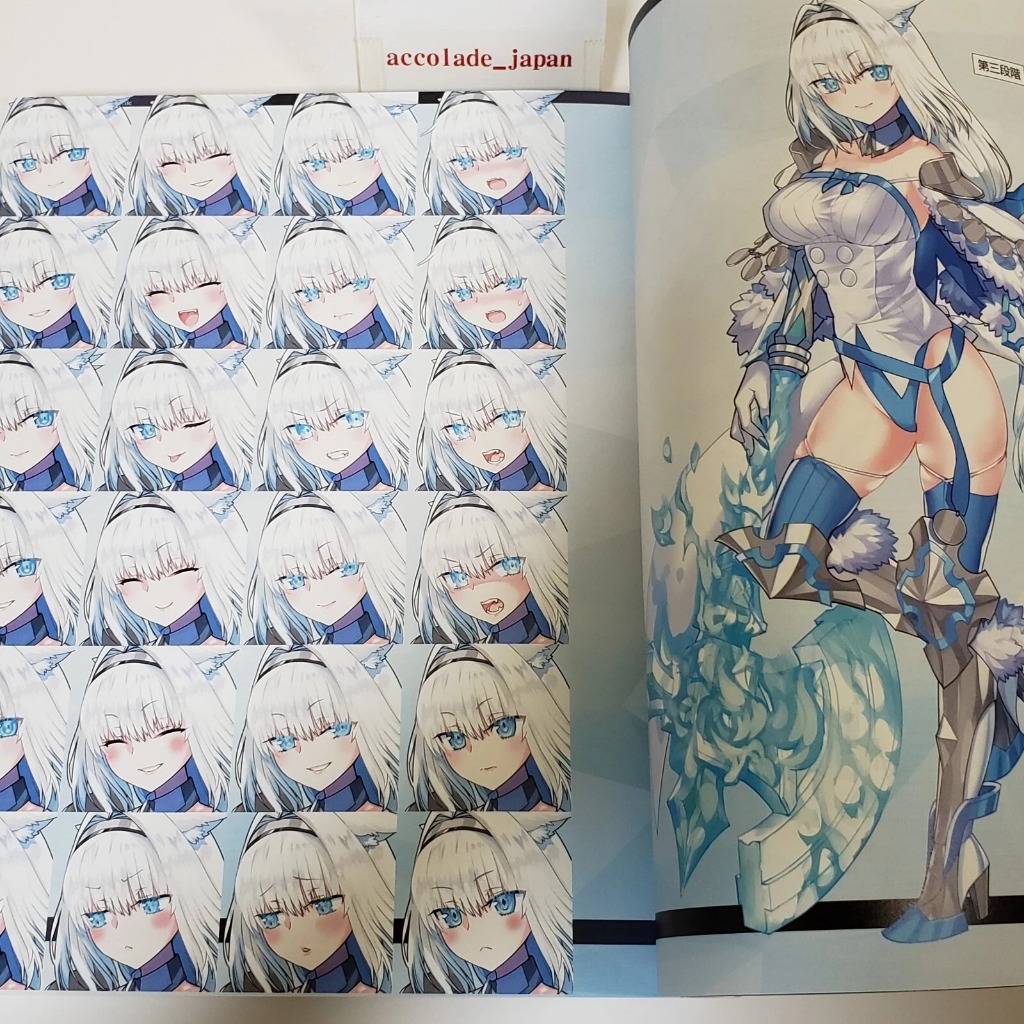 FGO Fate/Grand Order Material Vol. XV (15) — Official Illustration