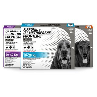 Frontline Plus Spot On for Dogs (PER PIECE & BOX) | Shopee Philippines
