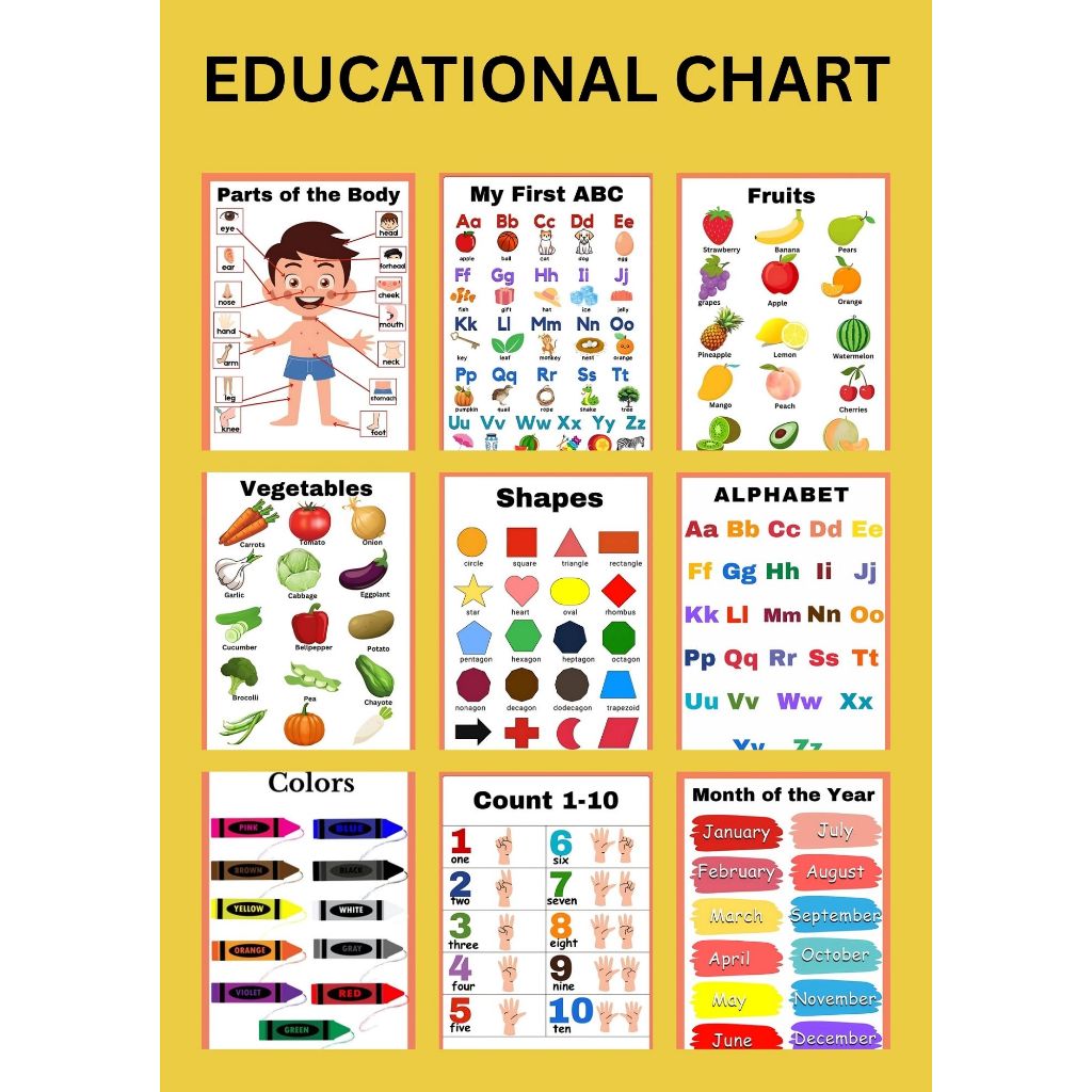 Laminated educational chart,learning materials,alphabet,numbers,colors ...