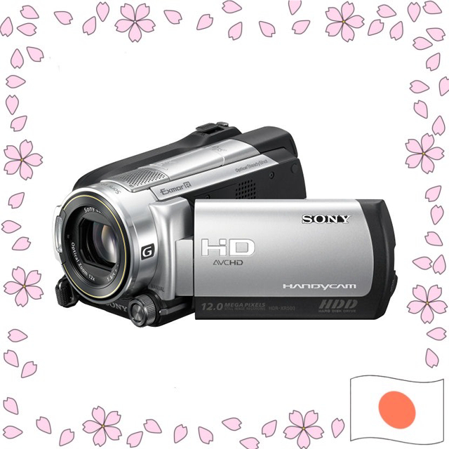 Sony Handycam HDR-XR500V Digital HD Video Camera Recorder 120GB