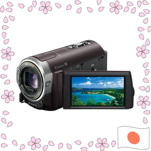 Sony Digital HD Camcorder HDR-CX370V/T Bordeaux Brown Handycam