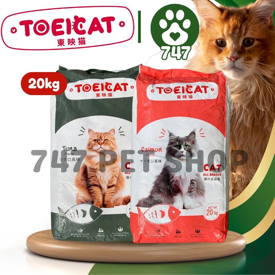 toei cat food - Best Prices and Online Promos - Oct 2026 | Shopee ...