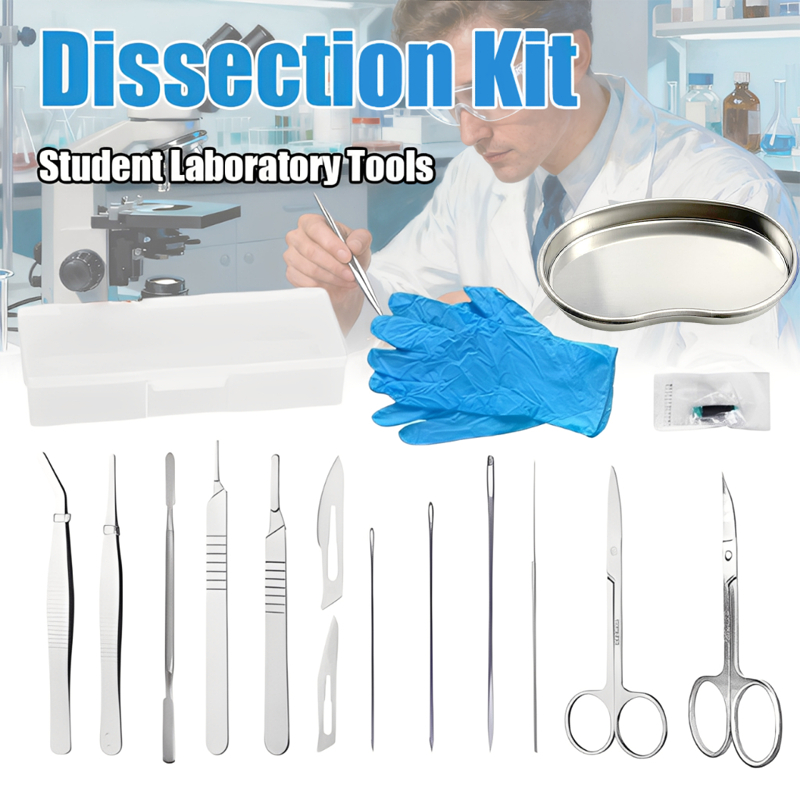 Stainless Steel Dissection Tools Surgical Kit Student Training Kit ...